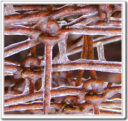 Art Museum ooo